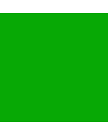 R&F Pigment Stick - 100ml - Permanent Green