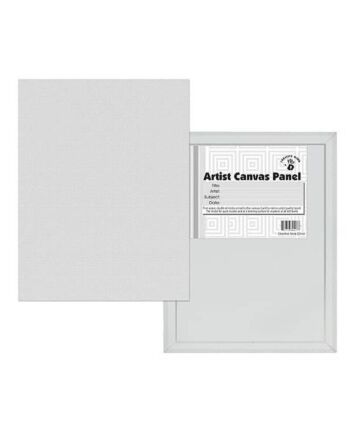 12PK CM CANVAS PANELS 4X8