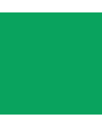 R&F Pigment Stick - 100ml - Veronese Green