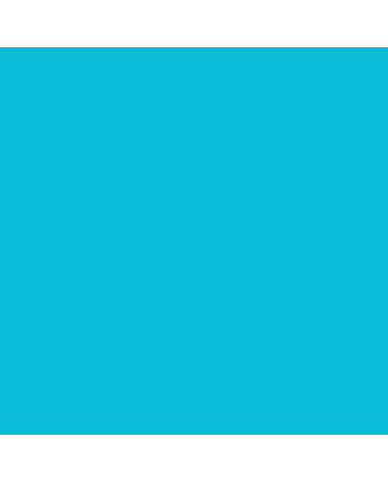 Prismacolor Col-Erase - Nonphoto Blue