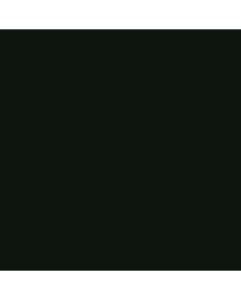 R&F Pigment Stick - 100ml - Courbet Green