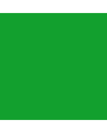 Liquitex Heavy Body 2oz Tube - Permanent Green Light