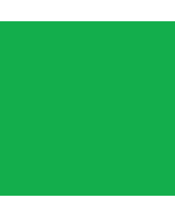 Amsterdam Acrylic Ink 30ml - Reflex Green