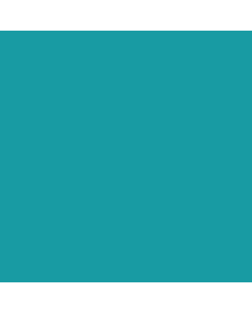Caran d'Ache Museum Pencil - #3510.21 - Emerald Green