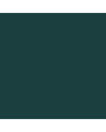 Caran d'Ache Neocolor II Crayon No. 200 - Blue Green