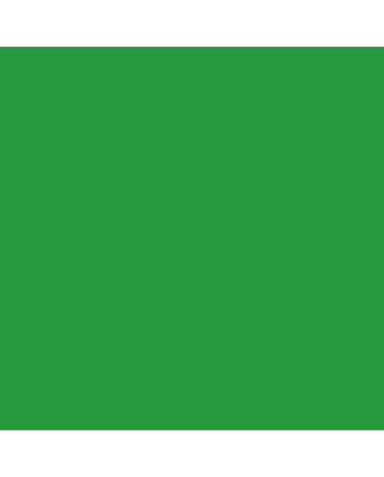 Createx Wicked Colors 2oz Apple Green W016