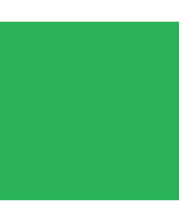 Ecoline Liquid Watercolor 30ml Pipette Jar - Green