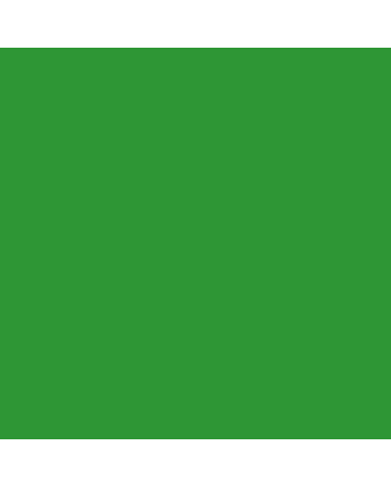 Holbein Artists' Watercolor 15ml Tube - Permanent Green No.2