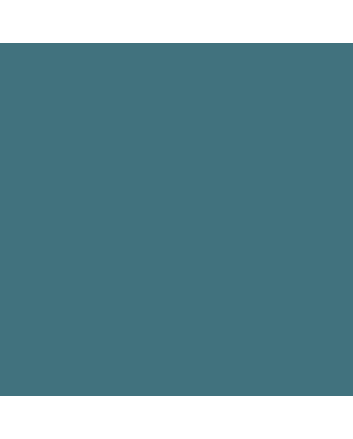 Caran d'Ache Neocolor II Crayon No. 007 - Dark Grey