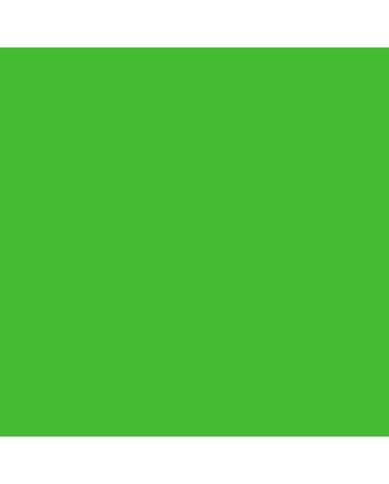 Caran d'Ache Museum Pencil - #3510.214 - Beryl Green