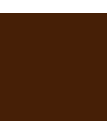 Liquitex Heavy Body Acrylics 16oz - Raw Umber