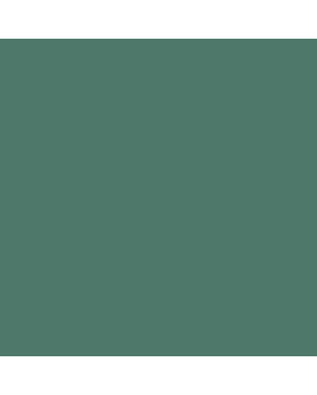 Caran d'Ache Museum Pencil - #3510.225 - Moss Green