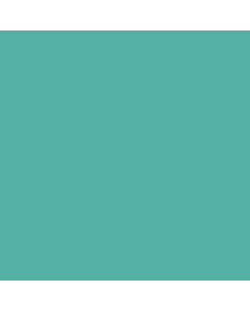 Sennelier Oil Pastels Individual Standard - Celadon Green