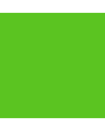 Faber-Castell Polychromos Pencil - #112 - Leaf Green