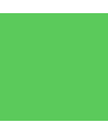 Faber-Castell Polychromos Pencil - #162 - Light Phthalo Green