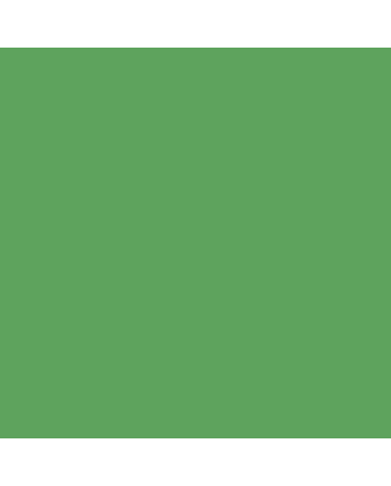 Caran d'Ache Neocolor II Crayon No. 210 - Emerald Green