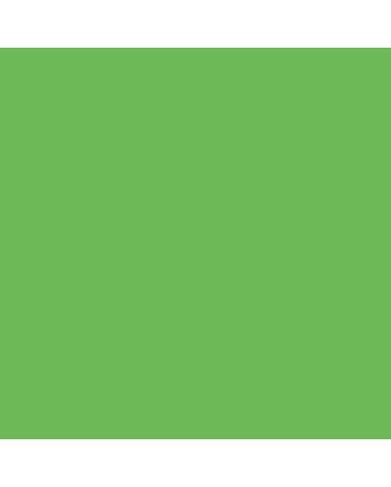 Liquitex Heavy Body Acrylics 4.65oz - Vivid Lime Green