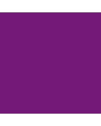 Jacquard Airbrush Color 4oz - Flourescent Violet