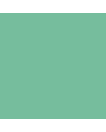 Caran d'Ache Neocolor II Crayon No. 211 - Jade Green