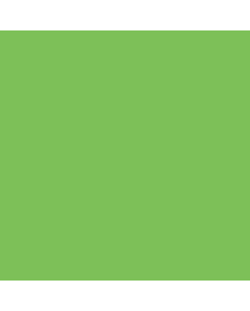 Copic Classic - G09 - Veronese Green