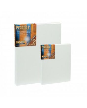 Practica Canvas 16X20 2-Pack