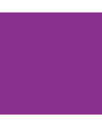 Createx Wicked Detail Colors 2oz Red Violet W056