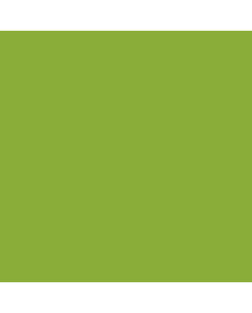 Caran d'Ache Museum Pencil - #3510.245 - Light Olive