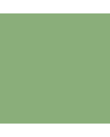 Caran d'Ache Museum Pencil - #3510.212 - Chrome Oxide Green