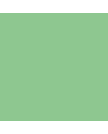 Caran d&#39;Ache Pablo Pencils Individual No. 290 - Empire Green