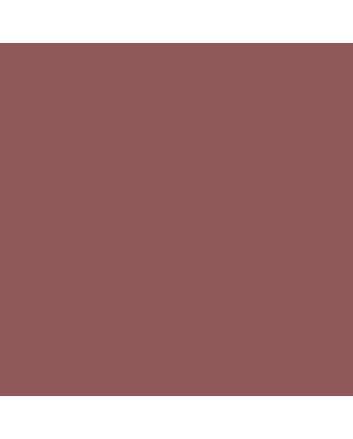 Caran d'Ache Neocolor II Crayon No. 059 - Brown