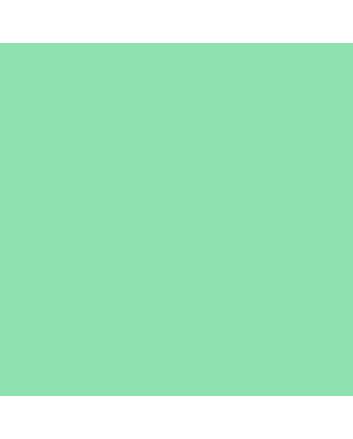 Tombow Dual Brush Pen No. 243 - Mint