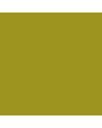 R&F Pigment Stick - 100ml - Olive Yellow