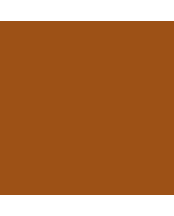 Tombow Dual Brush Pen No. 947 -  Burnt Sienna