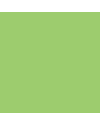 Jacquard Airbrush Color 4oz - Iridescent Green