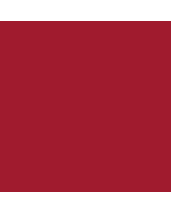 R&F Pigment Stick - 100ml - Cadmium Red Deep