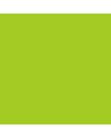 Copic Sketch - FYG2 - Fluorescent Dull Yellow Green