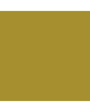 Rembrandt Soft Pastel Individual - Yellow Ochre #227.2