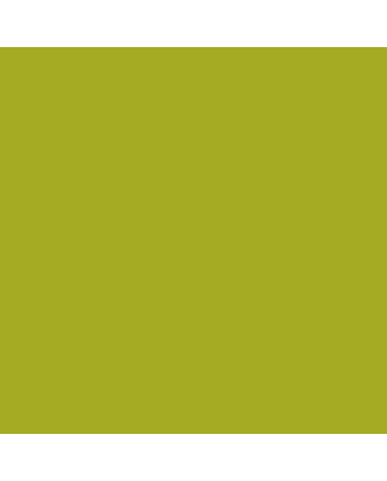 Amsterdam Acrylic Ink 30ml - Olive Green Light