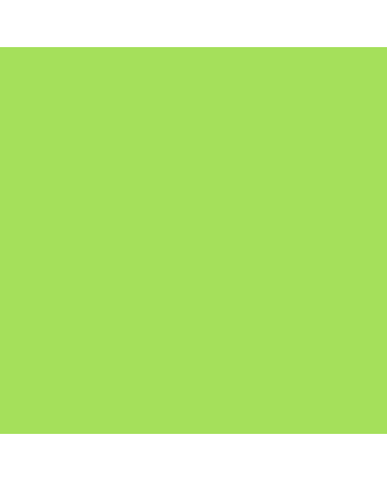 Faber-Castell Polychromos Pencil - #171 - Light Green