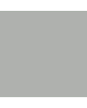 Testors Enamel  - Metallic Silver