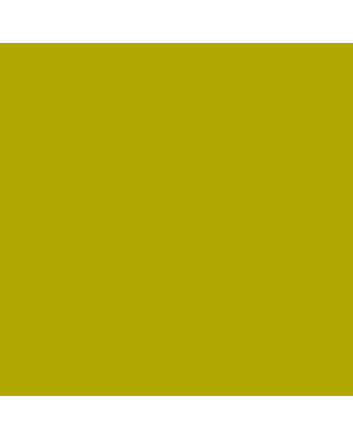 Faber-Castell Polychromos Pencil - #168 - Earth Green Yellowish