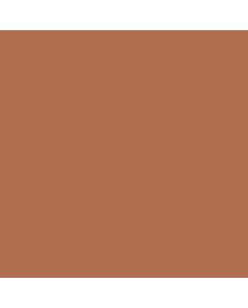 Caran d'Ache Neocolor II Crayon No. 069 - Burnt Sienna