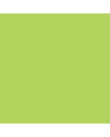 Caran d'Ache Neocolor II Crayon No. 230 - Yellow Green