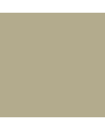 Caran d'Ache Museum Pencil - #3510.736 - Brown Olive 50%