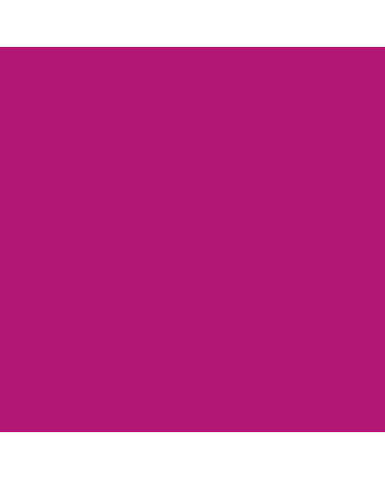 Caran d'Ache Neocolor I - Purple