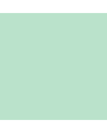Angelus Acrylic Leather Paint - 1oz - Mint