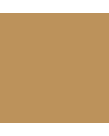 Copic Sketch - E57 - Light Walnut
