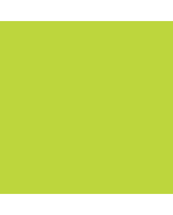 Liquitex Heavy Body 2oz Tube - Brilliant Yellow Green