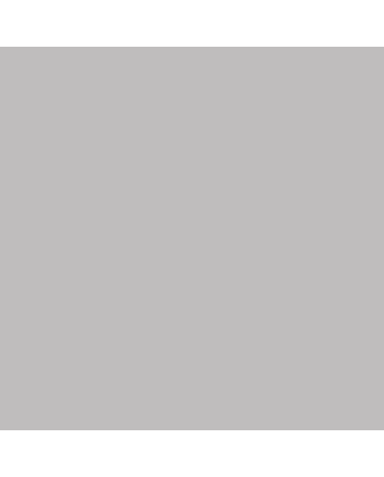 Faber-Castell Polychromos Pencil - #272 - Warm Grey III