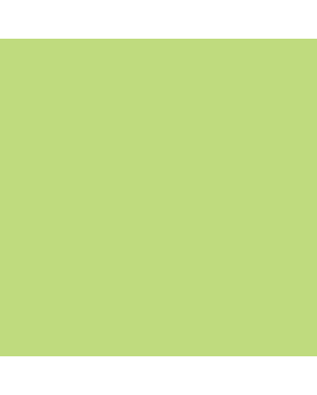 Jacquard Airbrush Color 4oz - Flourescent Green